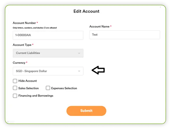 Currency and Bank Account Setup