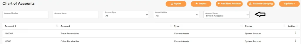 Chart-of-Accounts-System-Account-1