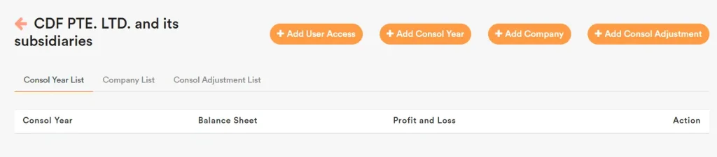Consolidation-Account-Automation-3